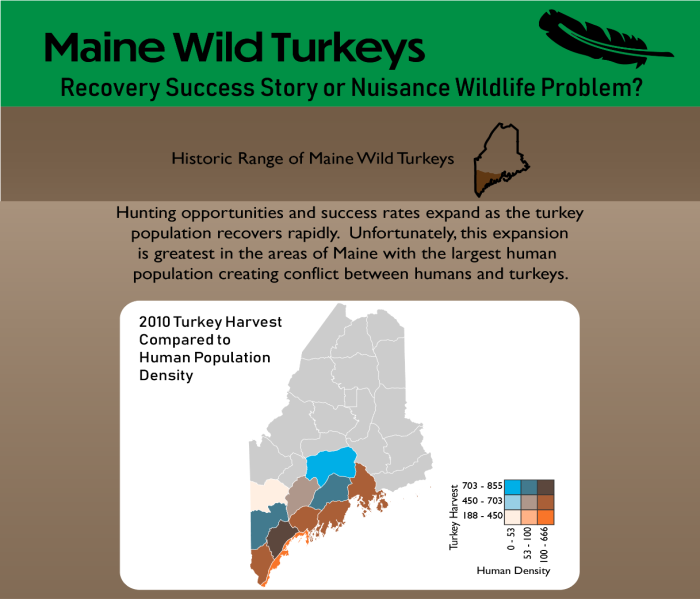 turkey population infographic